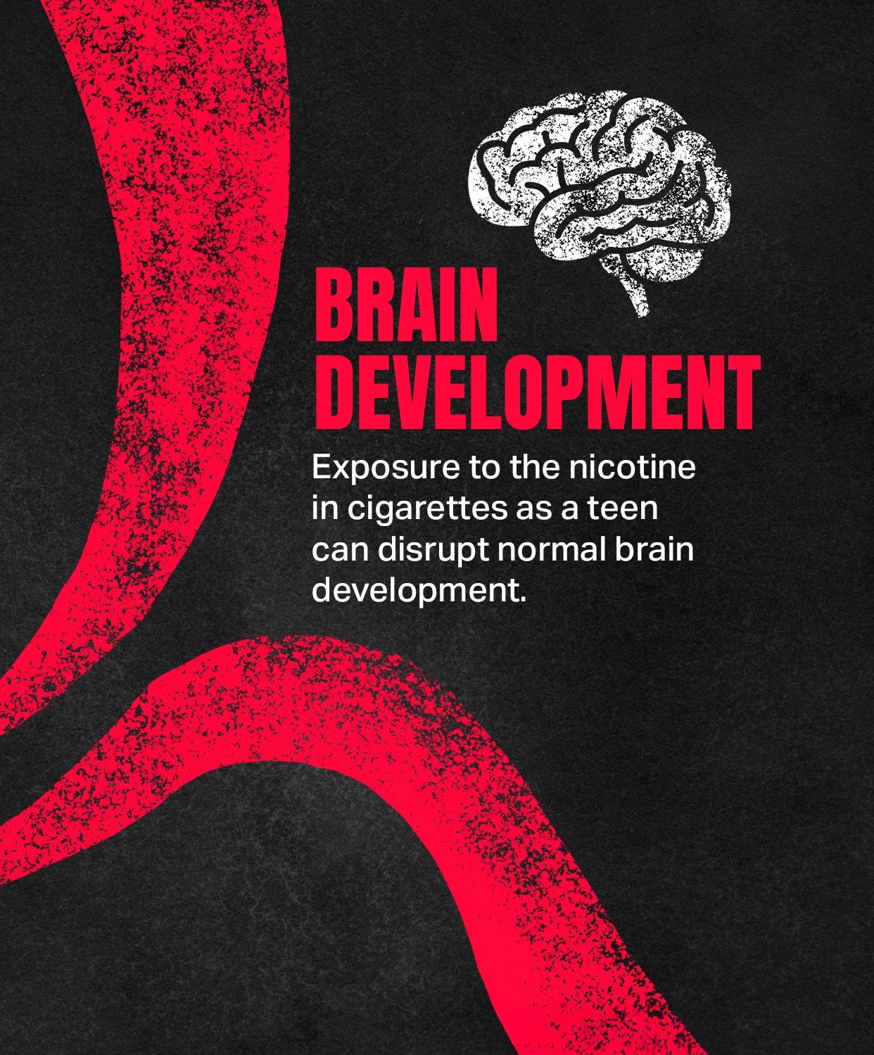 BRAIN DEVELOPMENT: Exposure to the nicotine in cigarettes as a teen can disrupt normal brain development.