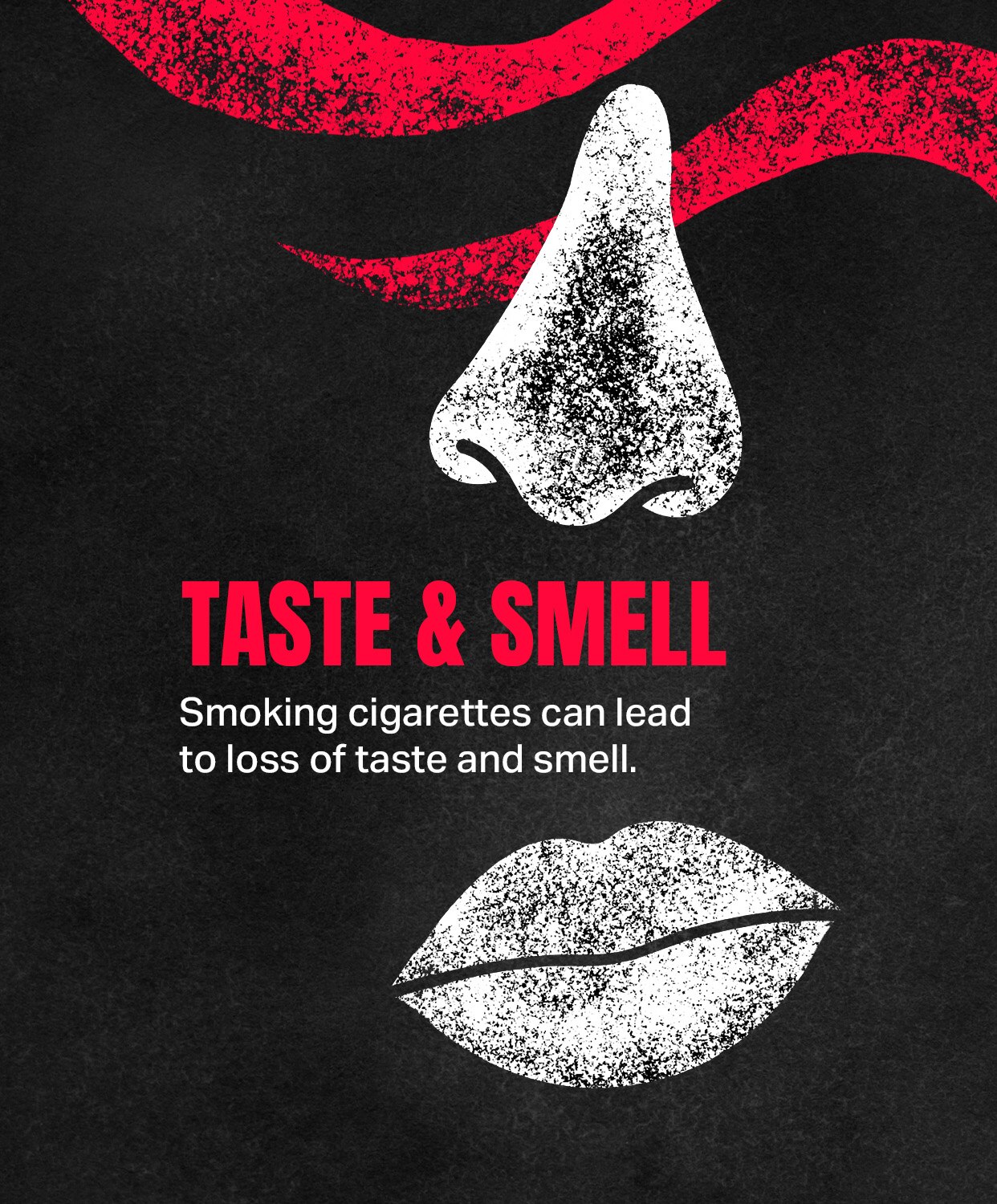 TASTE & SMELL: Smoking cigarettes can lead to loss of taste and smell.